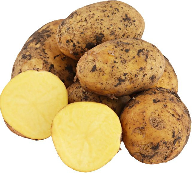 Картофель белый торфяной 1кг